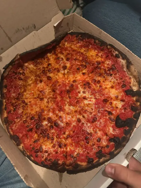 Plain Pizza